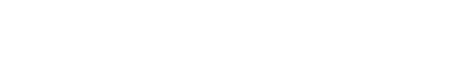 Mindsett